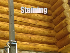  Allendale County,  South Carolina Log Home Staining